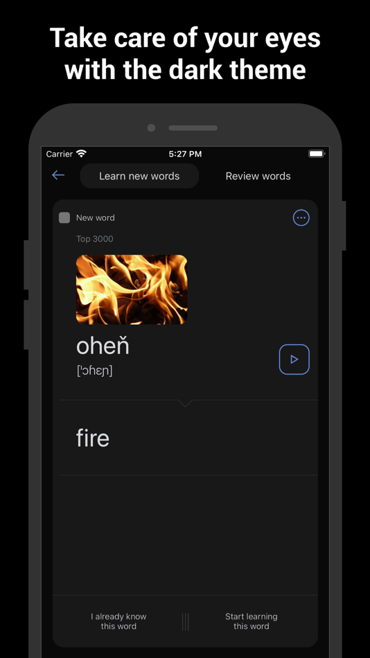 #6. Learn Czech with flash cards! (iOS) 由: Nikita Olifer