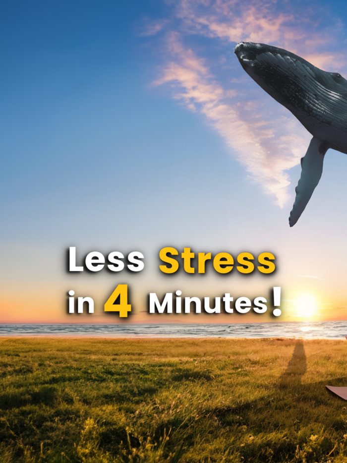 Visutate Augmented Reality