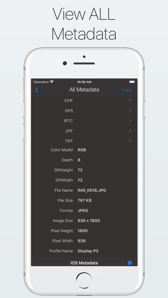The Photo Investigator
