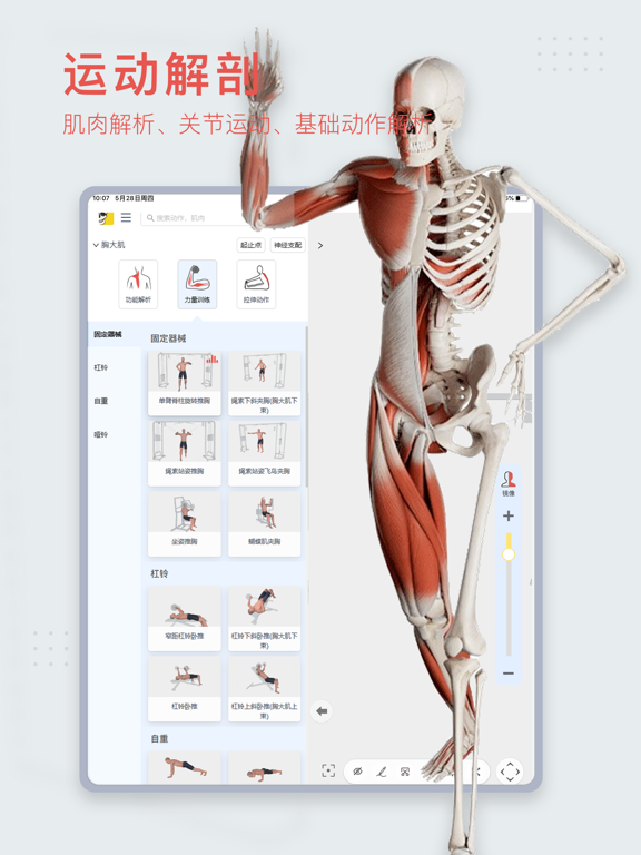 3Dbody解剖のおすすめ画像2
