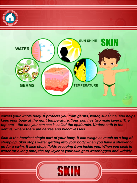 Screenshot #4 pour Human Body - External Organs