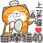 白爛貓40 超活潑 App Cancel