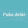 Puke Ariki Libraries