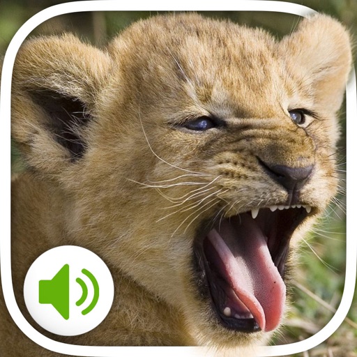 Animal Sounds: More 100 sounds Icon