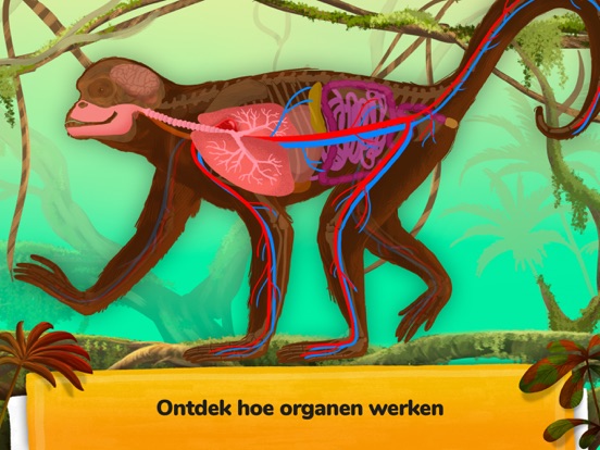 Hoe gaan dieren te werk? iPad app afbeelding 4