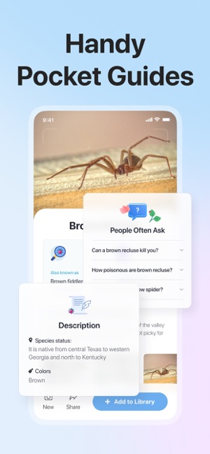 Picture Insect: Bug Identifier on the App Store