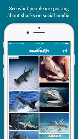 Game screenshot SharkSmart mod apk