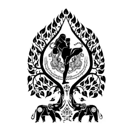 The MangoTree Fitness&MuayThai Cheats