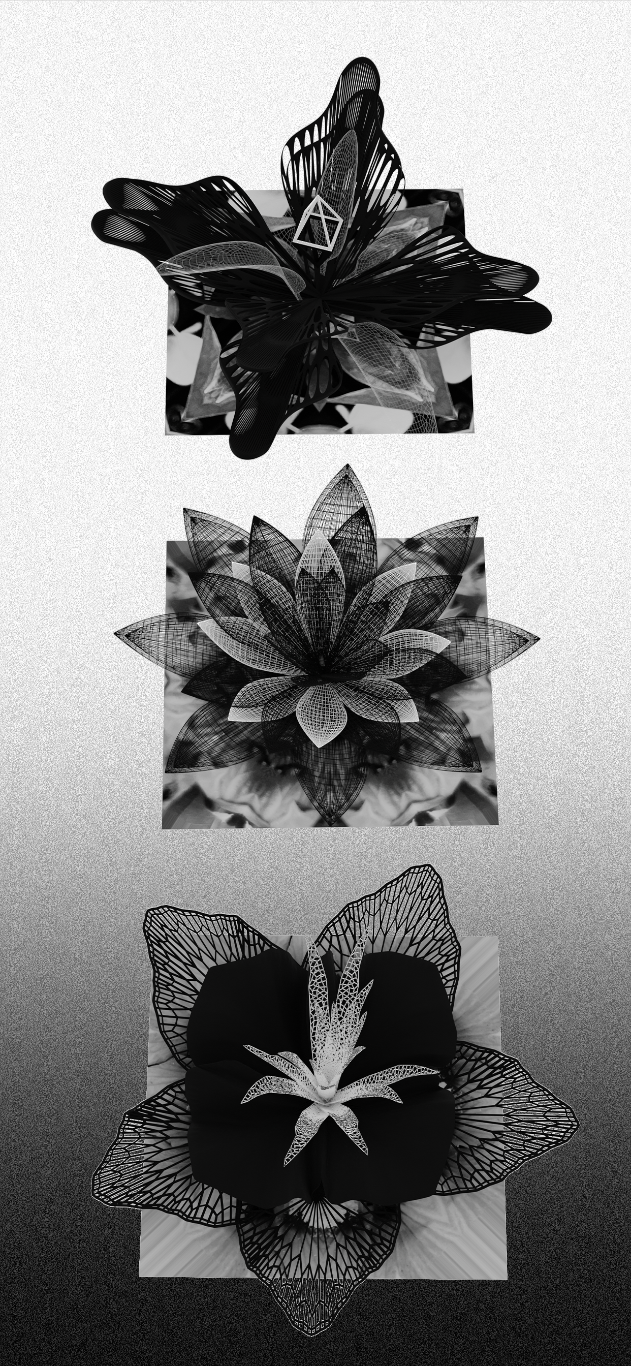 Fou Flowers
