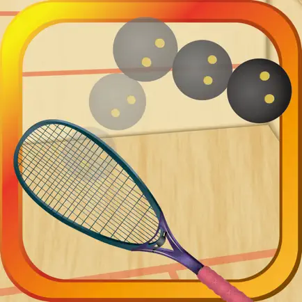 Squash - Keep Rallying Cheats