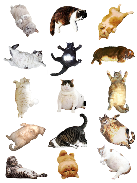 Screenshot #5 pour CatNap 2: Fat Cat Sticker Pack