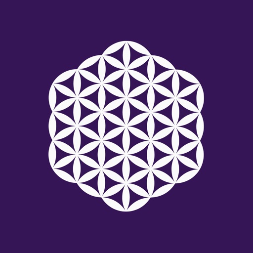 Collective Nouns Quiz