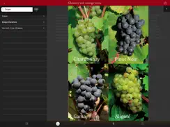 ClimaVinea iPad image 4