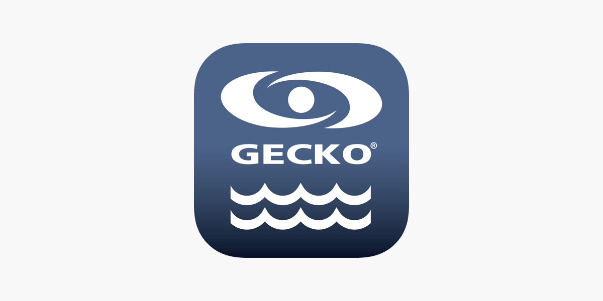 Gecko in.touch 2 WIFI Kit