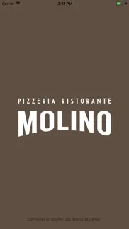 molino problems & solutions and troubleshooting guide - 2