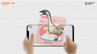 Animal AR 3D Safari Screenshot