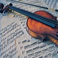 Violin Sight Reading logo