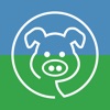 PigVision Mobile Sows icon