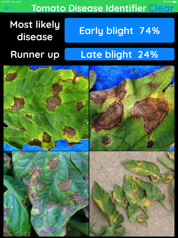 Tomato Disease Identifier