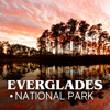 Everglades National Park Tour - David Kneynsberg LLC