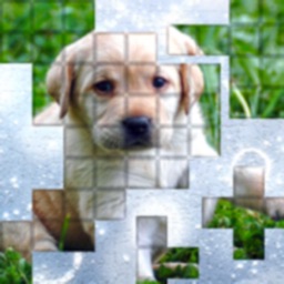 PicPu - Dog Picture Puzzle