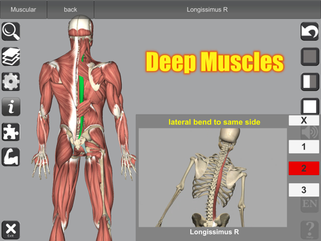 Captură de ecran de anatomie 3D