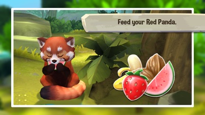 Pet World: My Red Panda Screenshot