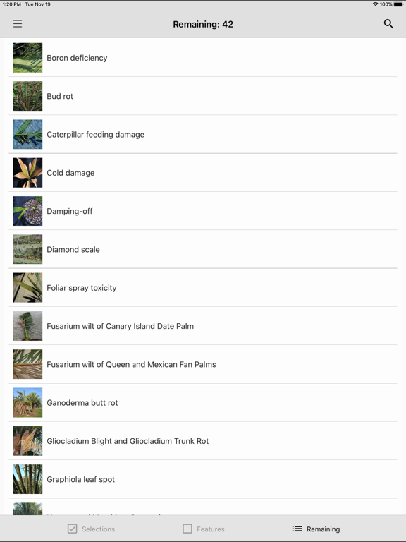 Screenshot #6 pour Palm Symptoms Key
