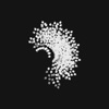 eion cam icon