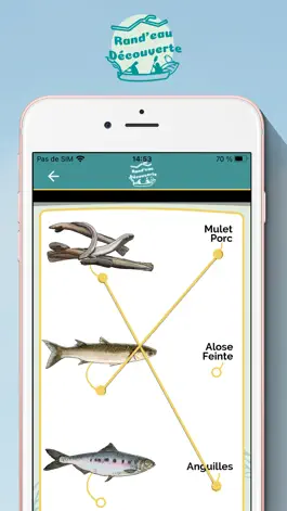 Game screenshot Rand’eau Découverte Avignon apk