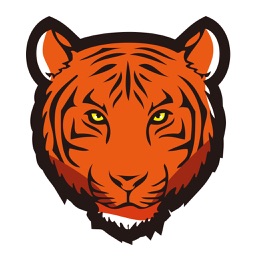 TigersecuHDViewer2