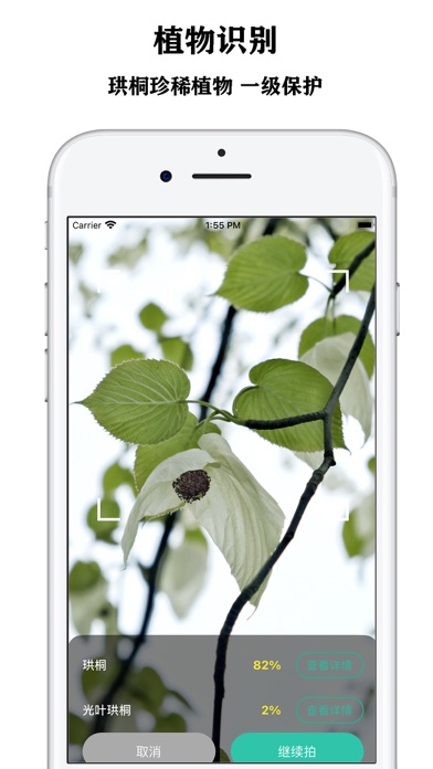 Plant recognition - know plant Screenshot