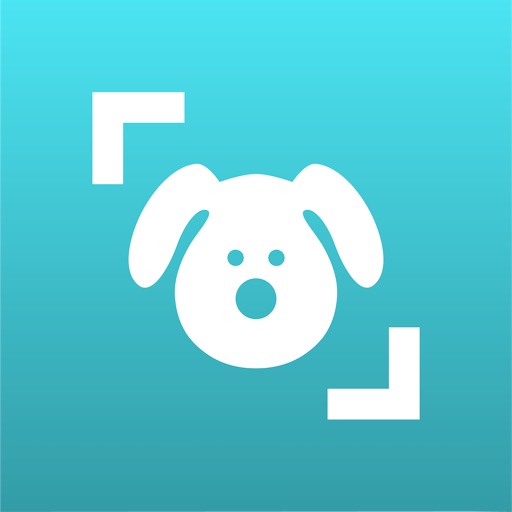 Dog Scanner Icon