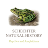 Reptiles & Amphibians of NA - Schechter Natural History LLC