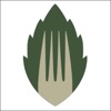 Green Fork icon