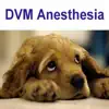 DVM Anesthesiology contact information