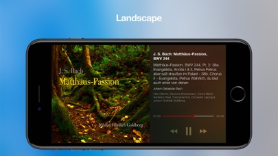 Scarbo - Music Player Screenshot