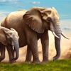 Wild Animal Elephant Simulator - iPadアプリ