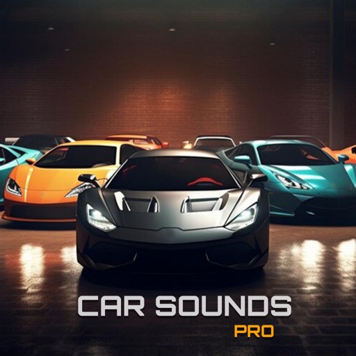 Car Sound Pro