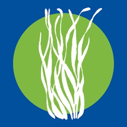 Seagrass PH