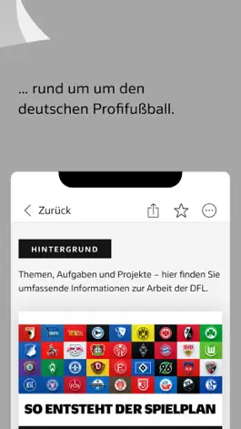 Game screenshot DFL apk