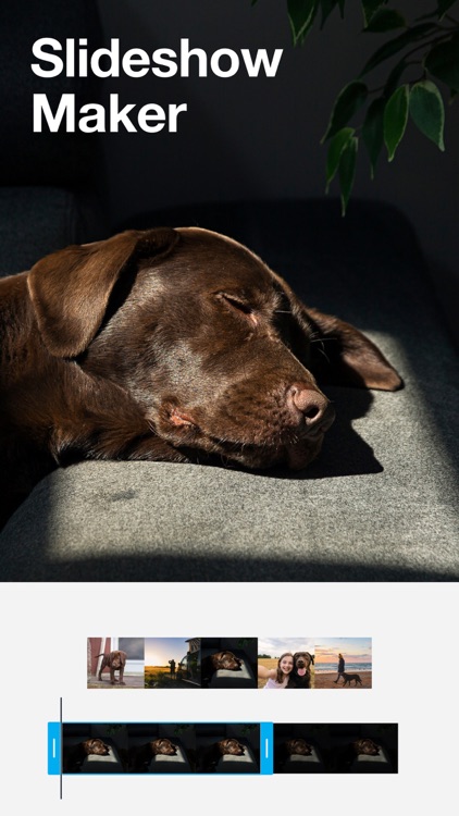 Vimeo Create - Video Editor screenshot-6