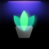 Feng Wallpaper icon