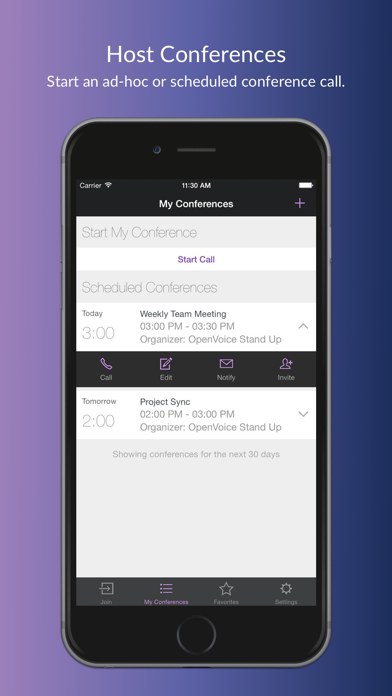 OpenVoice Audio Conferencing Screenshot
