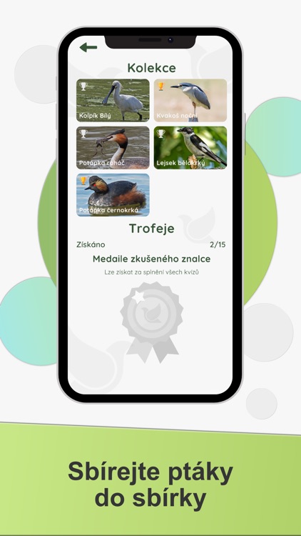 Ptactvo Vrbenských rybníků