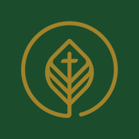 Life Pointe Church Woodland