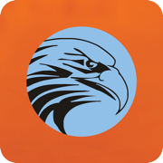 Secureye Pro