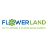 FLOWERLAND GR