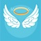 Icon Angel Wings Photo Editor Maker