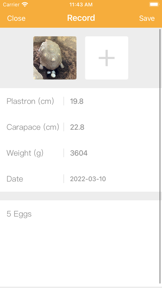 #3. Tortoise - Keep Recording (iOS) 由: 叶祺 顾